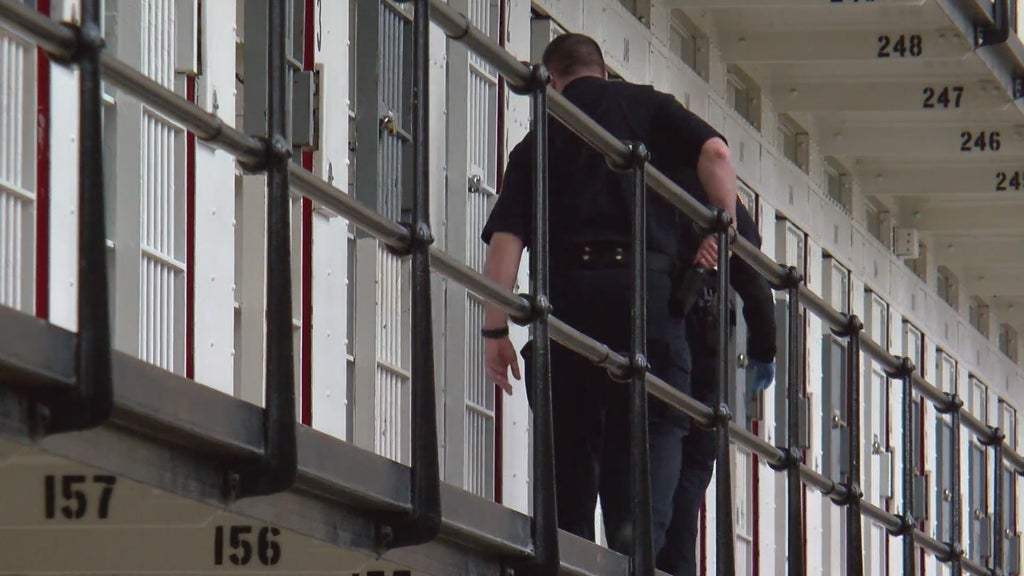 More than two dozen Georgia prisons on lockdown over security concerns following inmate fight — Woodstock Health news